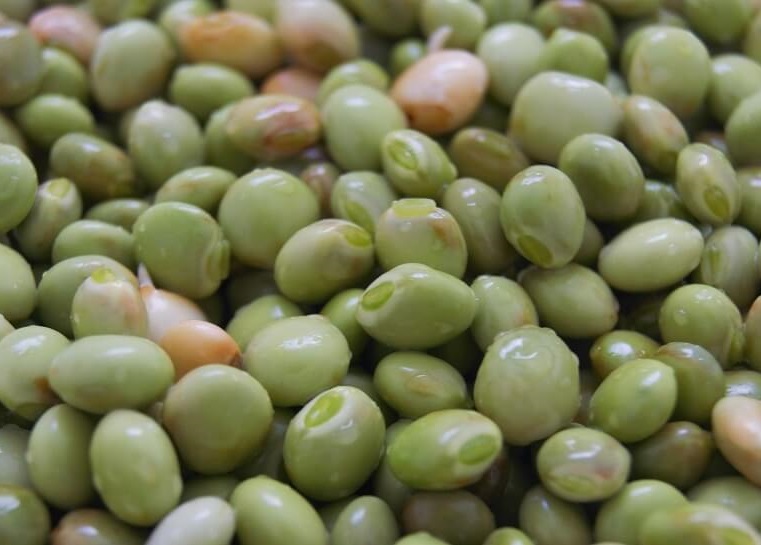 pigeon-peas